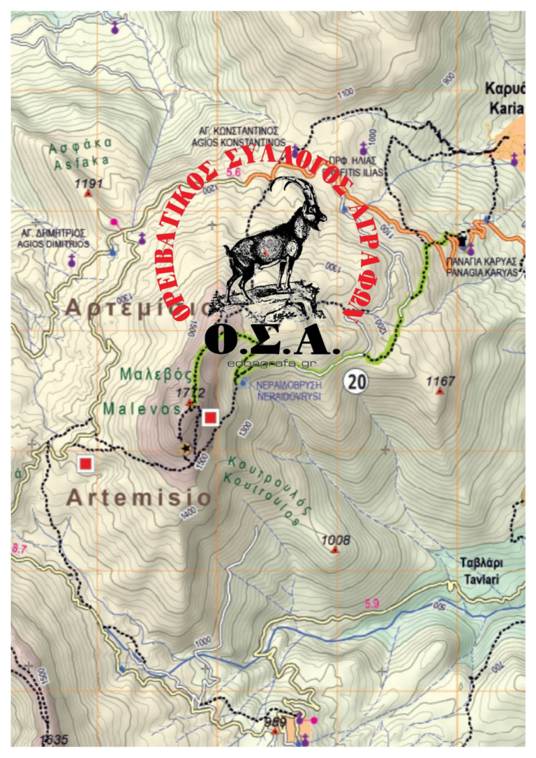 Εξόρμηση στο Αρτεμίσιο